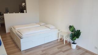 Citycenter Bad Ischl - Studio Apartments TRAUNKAi - Bad Ischl - 9