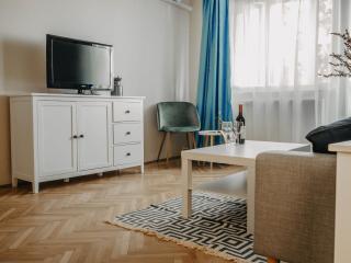 Business and Travel Central Apartment - Timişoara - 1