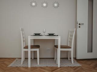 Business and Travel Central Apartment - Timişoara - 2