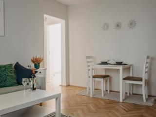 Business and Travel Central Apartment - Timişoara - 4