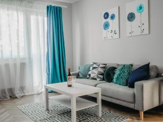 Business and Travel Central Apartment - Timişoara - 0