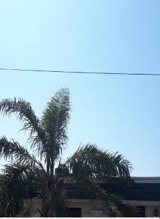 departamento microcentro - 4