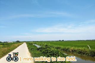 Saclo Villa and Hostel - Hoi An - 4
