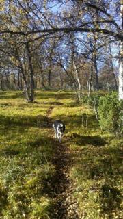 Ryen Hytteutleie - Cottages - 8