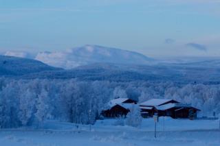 Tunet - 3