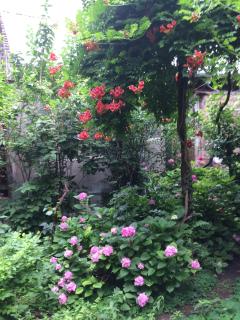 Hostel 48a - Tbilisi - 1