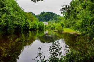 Lloyds Meadow Glamping - Chester - 7