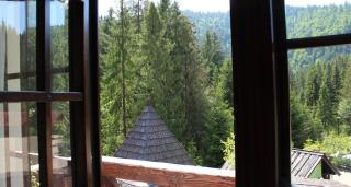 Hotel Vezha Vedmezha - Volosyanka - 3