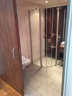 Stadthotel Bernstein - Ratisbona - 4