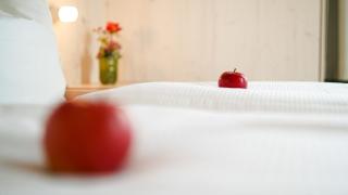 Hotel Bergamo - Ludwigsburg - 6