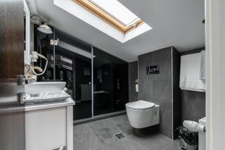 VILA NORBE - Buşteni - 7