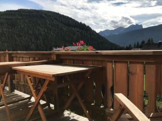 Platzerhof - 1
