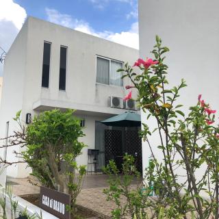 Casa di Bravo - Miyakojima - 6