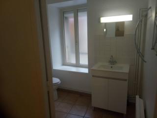 studio les solivettes - Châtillon-Coligny - 1