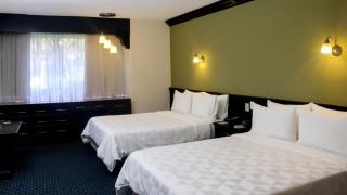 Holiday Inn San Luis Potosi-Quijote by IHG - San Luis Potosí - 2