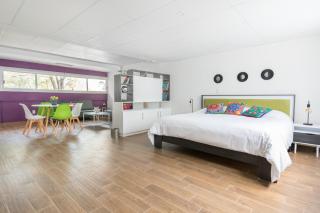 Deluxe Loft at Colonia ROMA - Città del Messico - 0