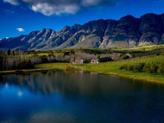 Fraaigelegen Farm - Home of ADHARA EVOO - 7