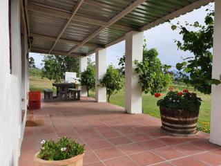 Fraaigelegen Farm - Home of ADHARA EVOO - Tulbagh - 7