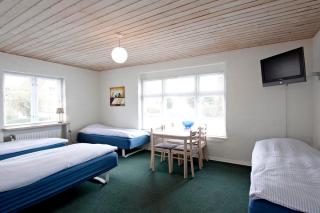 Amalie Bed and Breakfast & Apartments - Odense - 4