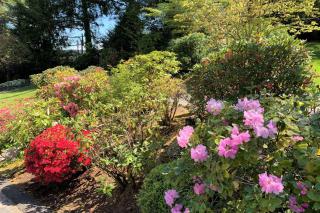 The Tides Retreat - Gig Harbor - 3