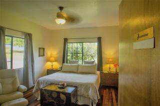 The Inn at Kulaniapia Falls - 4