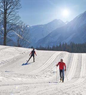 MEINE HEIMAT - Apartments in Ramsau bei Schladming - Skigebiet AMADE - 2
