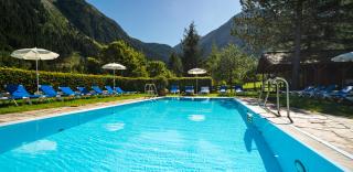 Hotel Krimmlerfälle - Krimml - 9