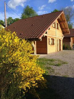 Le Chalet des Neiges - 6