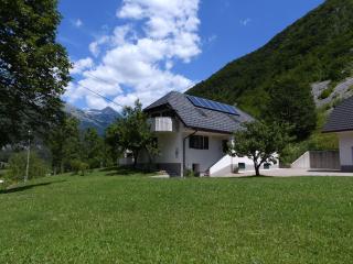 Apartment Pri Leju - Srpenica - 5