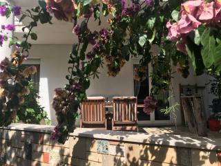 Pine and Lime Apartments - Pula - 1