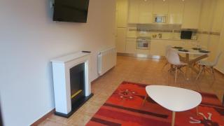 Apartamento Palacio Azcárate Calle San Isidro - Ezcaray - 1