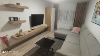 Popasu din oras - Baia Mare - 9