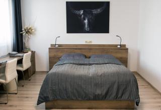 Ubytování Stračena - 5