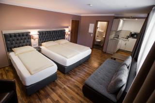 ZUM ZIEL Hotel Grenzach-Wyhlen bei Basel - Grenzach-Wyhlen - 7