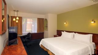 Holiday Inn San Luis Potosi-Quijote by IHG - San Luis Potosí - 6