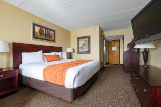 Comfort Inn Eagan Minneapolis - St Paul South - 8