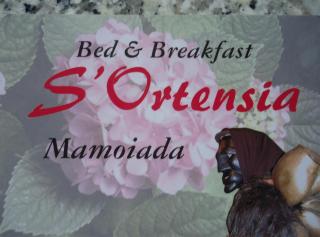 affittacamere S'Ortensia - Mamoiada - 7