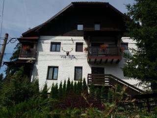 Vila Sofia - Predeal - 4