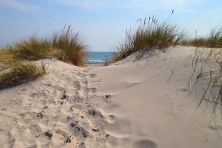 Österlens Pärla - 1