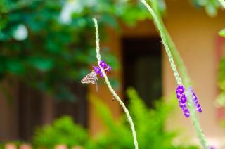 Hotel y Restaurante Las Tablitas - 6