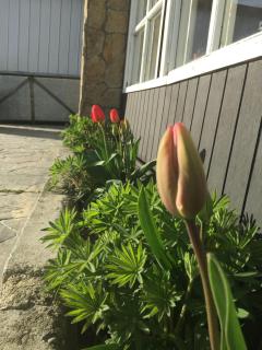 Big Bang Patagonia - Traveler Assistance - 8