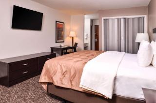 Quality Inn & Suites - Beaumont - 4