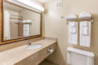 Quality Inn & Suites Green Bay Downtown - Green Bay - 6