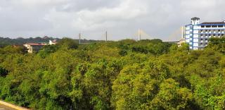 Ria Residency - Panaji - 5