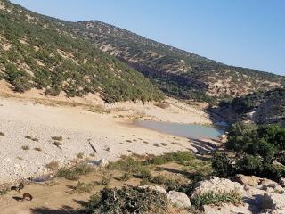 The call of nature - Tafedna - 1