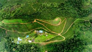 Camelot Resort - Munnar - 7