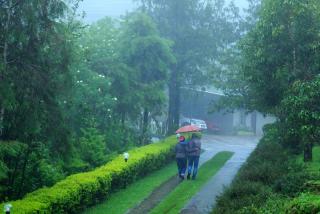 Camelot Resort - Munnar - 9