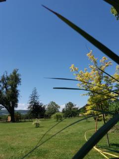Cabane Aligoté - Saint-Albain - 9