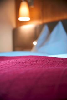 Hotel Innsbruck - 5