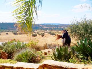 Sharish - Monte Das Estevas - Estremoz - 2